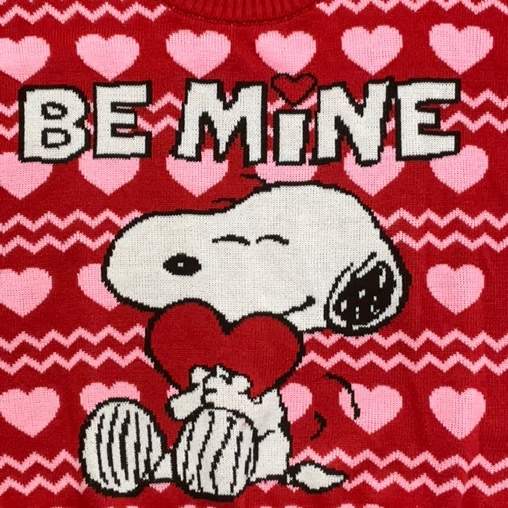 Peanuts Snoopy Valentine's Sweater